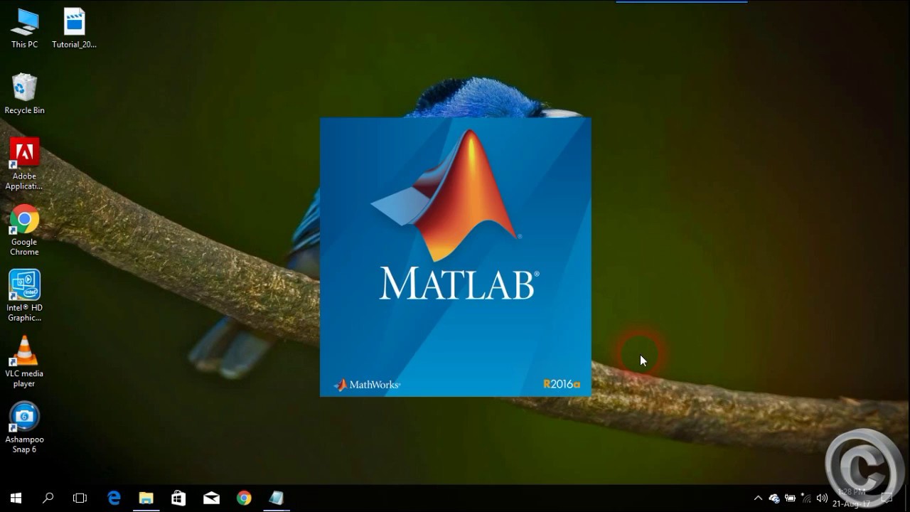 Matlab torrent piratebay